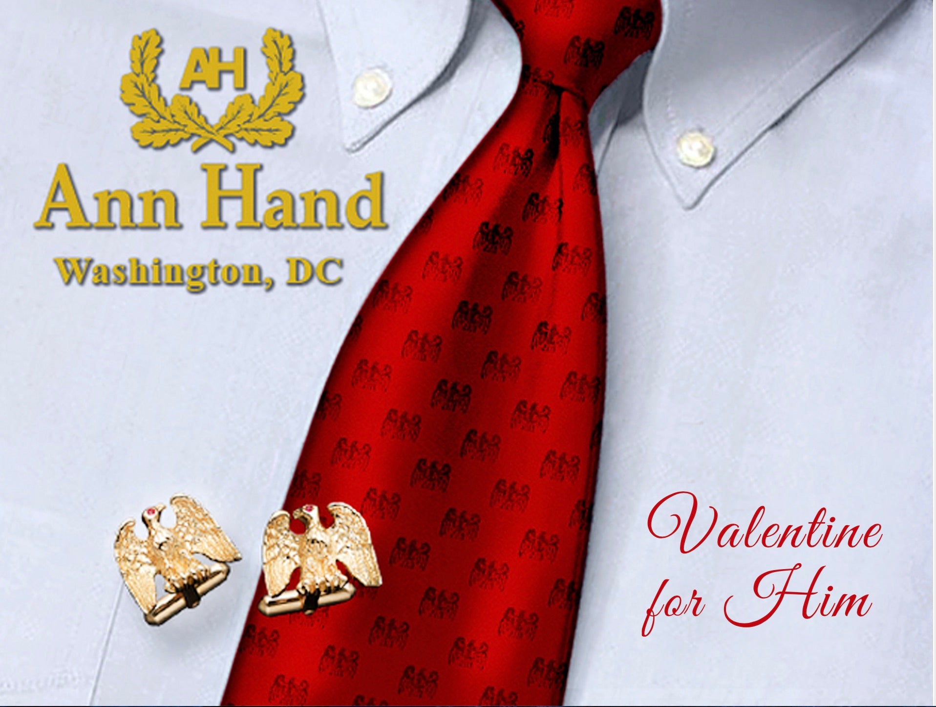 Ann Hand WashingtonDCのスカーフ