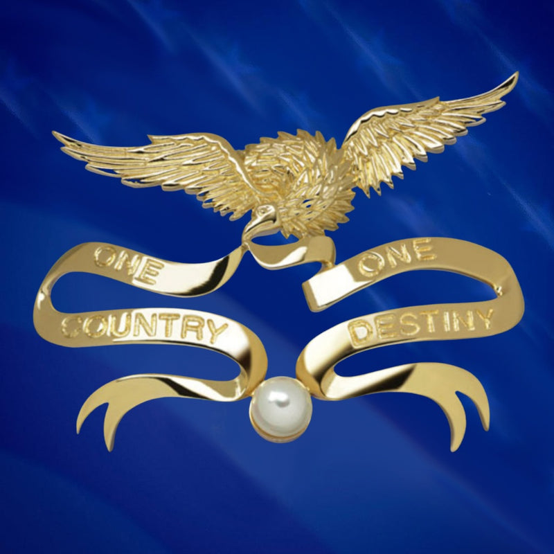 Lincoln Eagle Pin – Ann Hand
