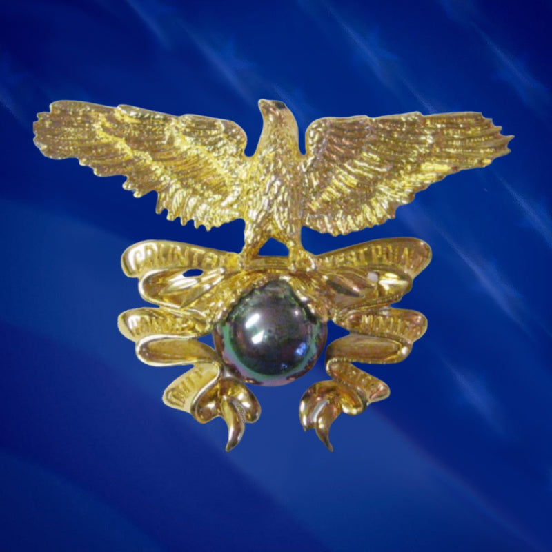 West Point  Eagle Pin