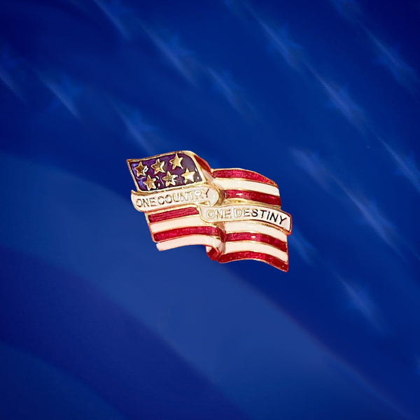 One Country One Destiny Lapel Pin