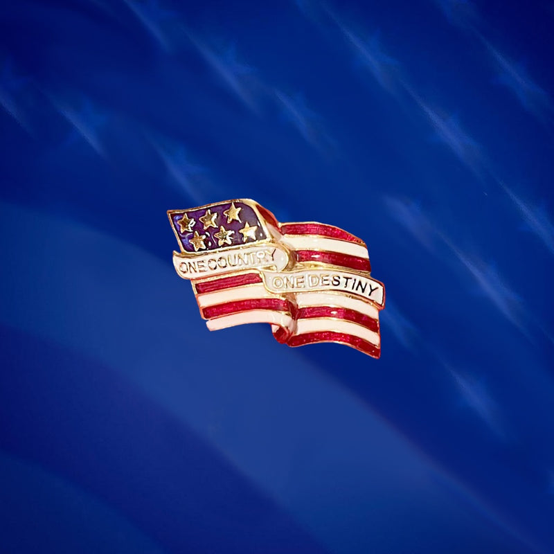 One Country One Destiny Lapel Pin