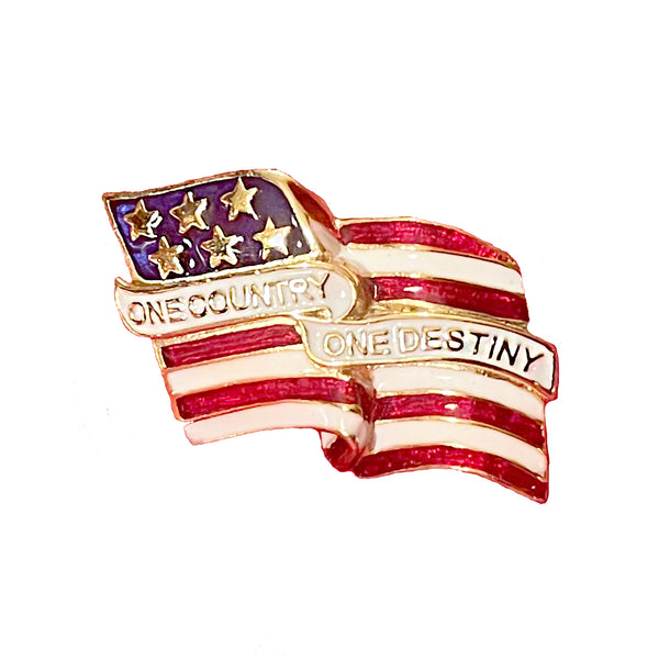One Country One Destiny Lapel Pin
