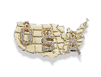 Continental USA Pin with crystals